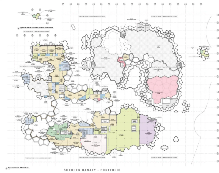 Natural History Museum Abu Dhabi